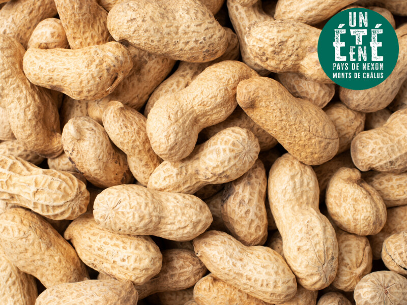 À la rencontre des artisans - La torréfaction Cahu