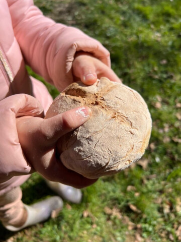 Animation nature en famille : Le goût d'autrefois