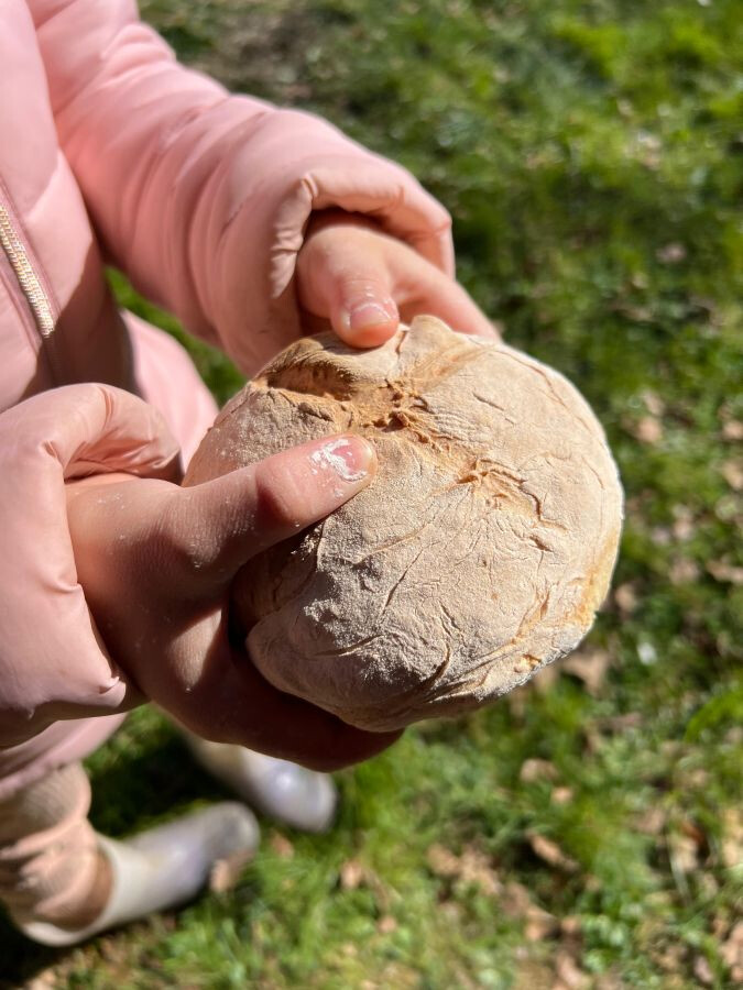 Animation nature en famille : Le goût d'autrefois