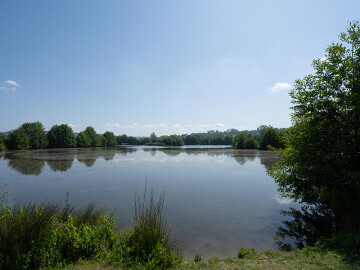 Les oiseaux du marais de Blonville-Villers