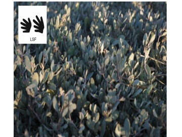 A la découverte des plantes - Sortie traduite en Langue des Signes Françaises