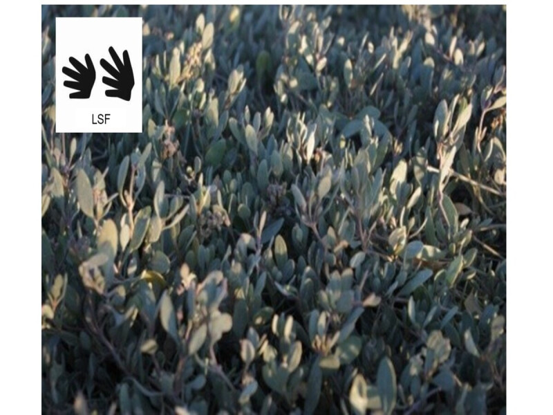 A la découverte des plantes - Sortie traduite en Langue des Signes Françaises