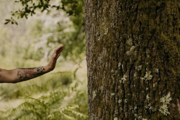 Bain de forêt / Quiétude et nature