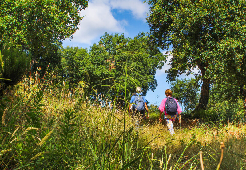 RANDO DECOUVERTE "PAYSAGES ET PATRIMOINE EN MONTAGNE"