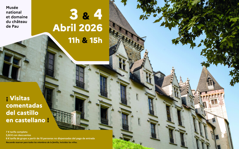 ¡ Visitas comentadas del castillo en castellano !