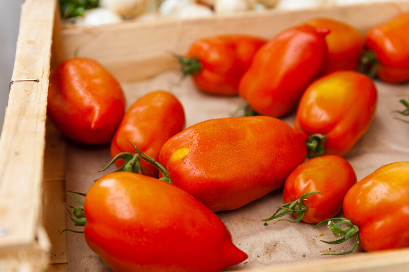 Marché d’été de Saint Germain du Bel Air