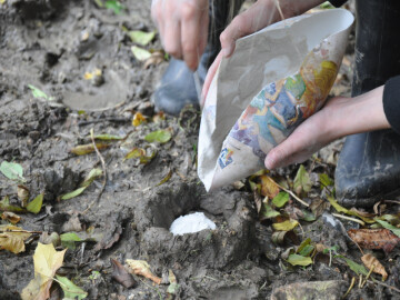 Découverte des traces d'animaux
