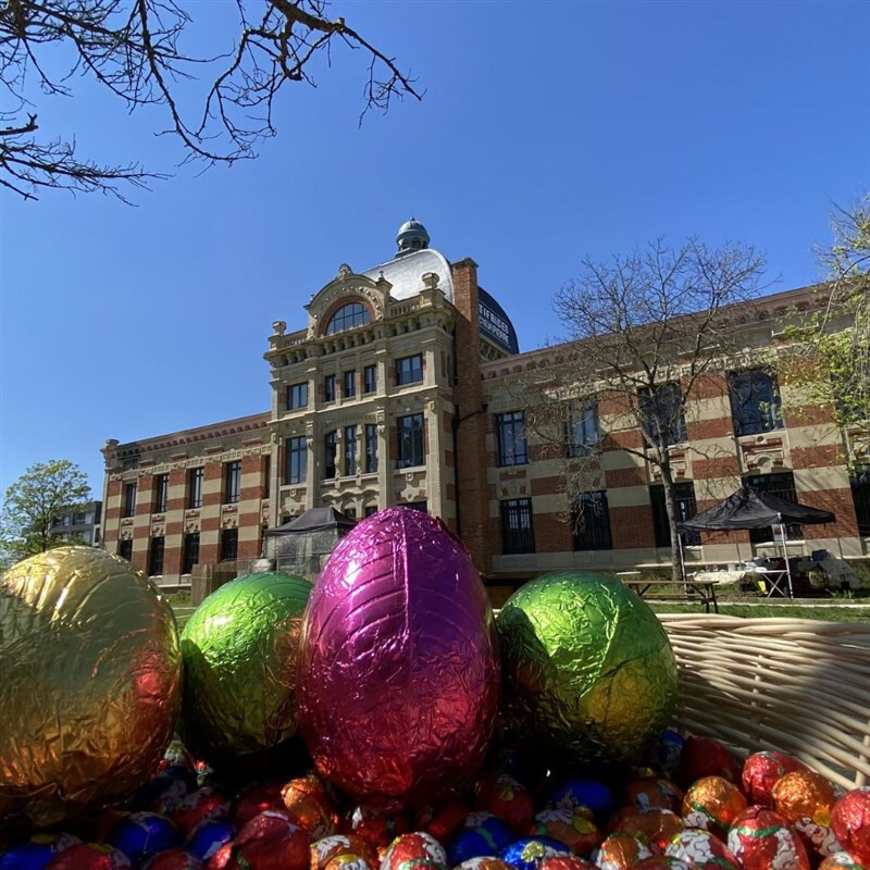 L'énigmatique chasse aux oeufs !