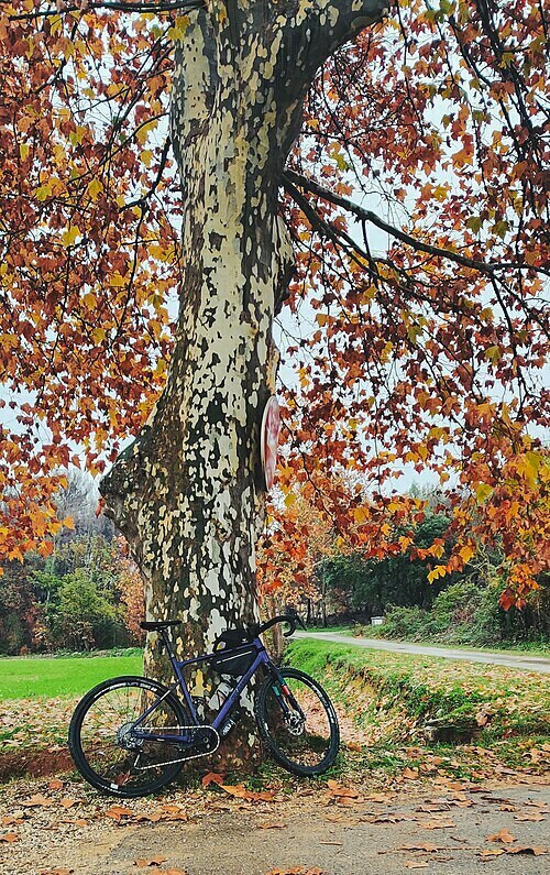 Sur la piste des animaux, à pied ou à vélo