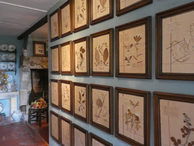 Les fleurs vous font de l'œil