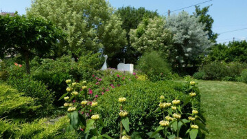 Visite du Jardin d'émotions