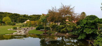 Visite libre du jardin