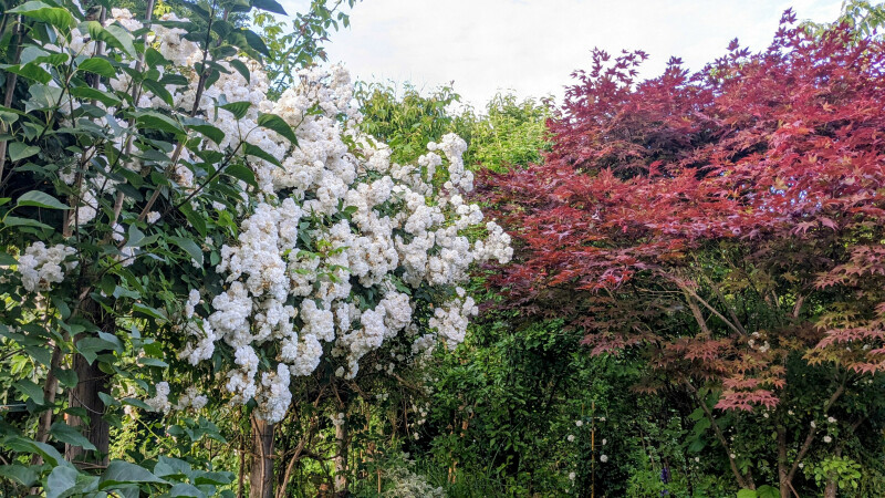 Parcours olfactif et sensoriel avec l'association Valentin Haüy de Limoges