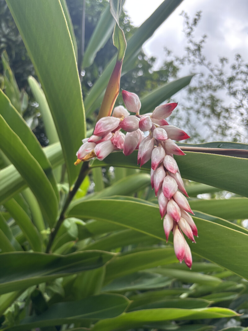 "Belles vues" sur notre jardin