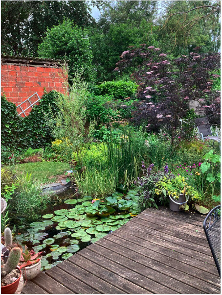 Visite libre d'un jardin urbain