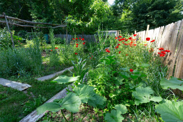 Déambulation dans un espace de biodiversité