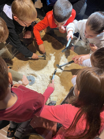 ATELIER 4-6 ANS : Opération fossiles !