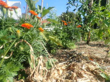 10 ans de Canop'terre