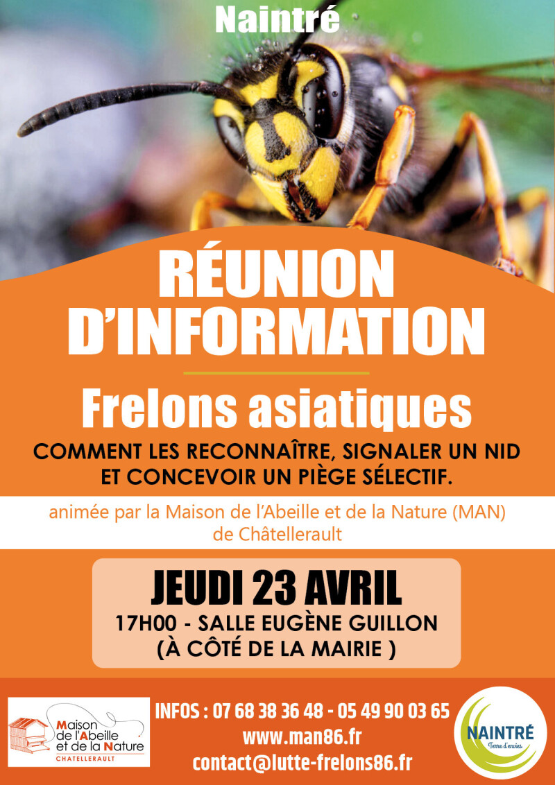 Réunion d'info / frelons asiatiques