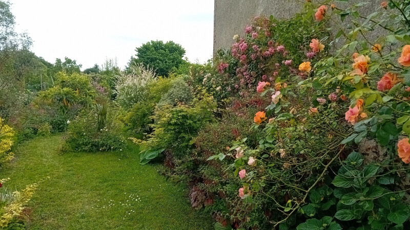 Visite d'un jardin de ville