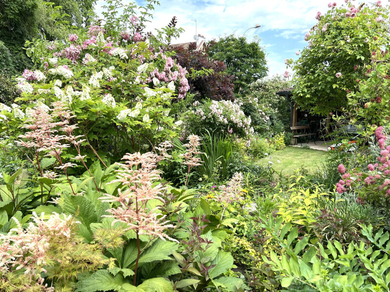 Visite d'un joli petit jardin de village où vivaces et rosiers font du charme à l'anglaise