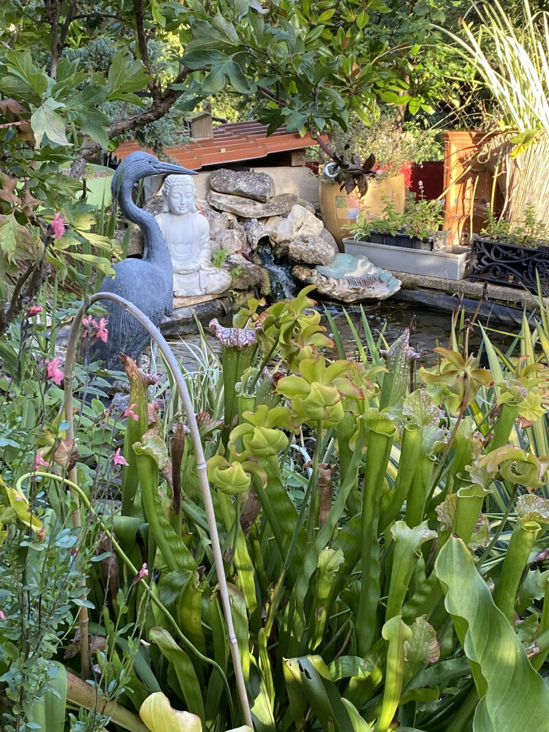 Françoise vous ouvre son jardin et vous fera partager expérience,passion et astuces