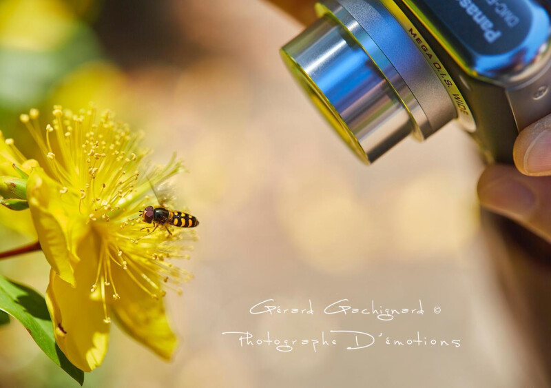 Infiniment petit, le jardin comme vous ne l'avez jamais vu !