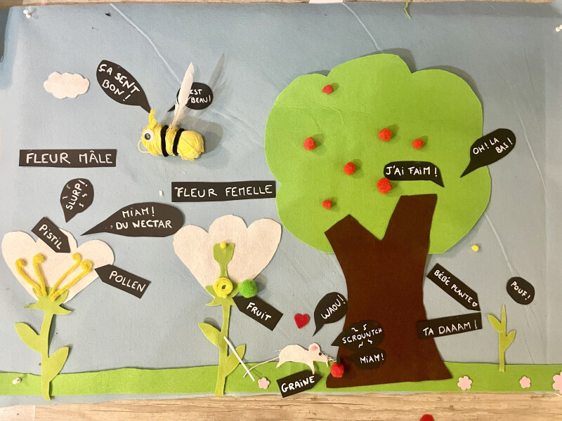 Le club des petits curieux - les pollinisateurs