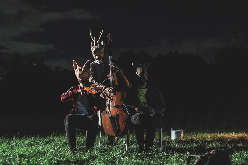 La nuit au rythme des animaux