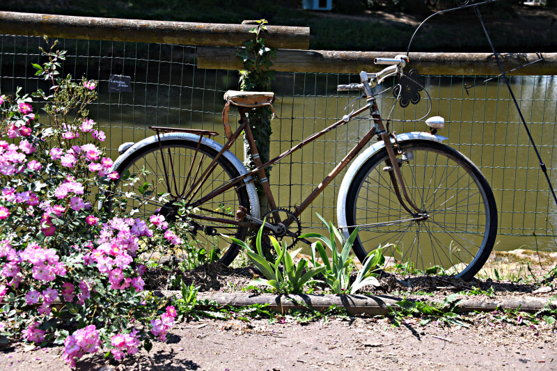 DÉCOUVERTE JARDIN DES EAUX