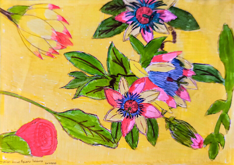 La nature et le vivant au prisme du Paraguay