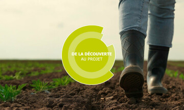 De la découverte au projet - Arboriculture - Tiercé (49)