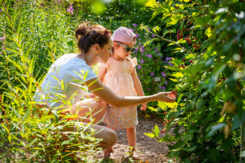 Testez vos connaissances aux jardins du Puygirault
