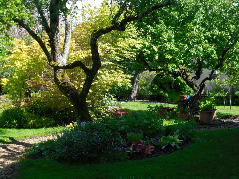 Visite du Jardin du Chat Perché