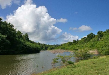 L'EXPLOITATION D’ÉLOI CEMIR