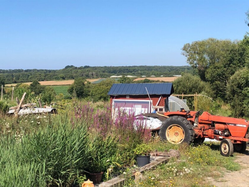 Visite ludique des cultures