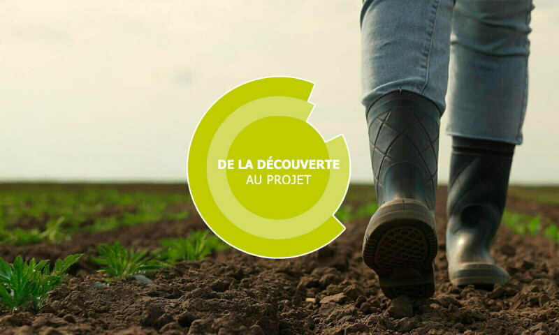 De la découverte au projet - Maraîchage - Doué-en-Anjou (49)