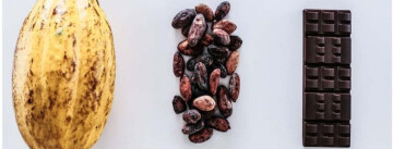 Chocolats d’Amérique Latine