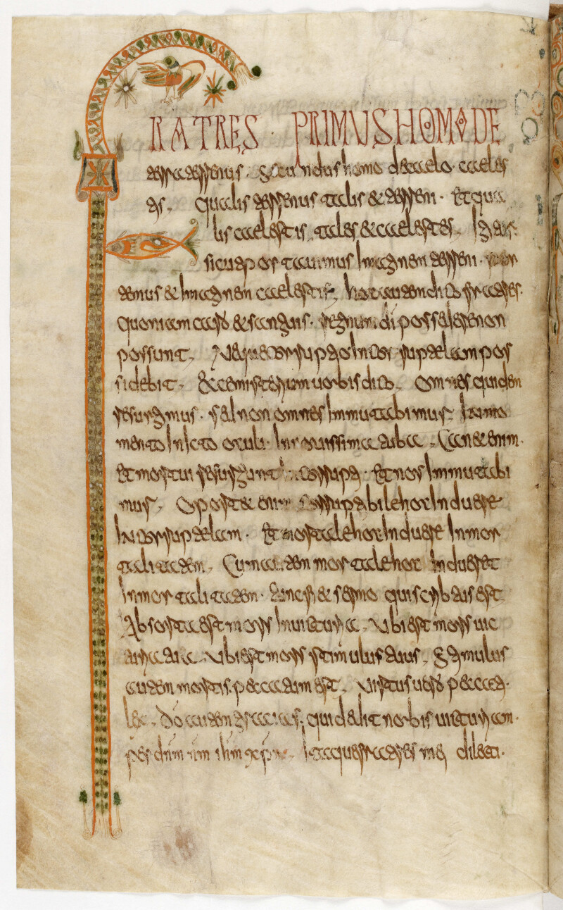 La classe, l’œuvre !