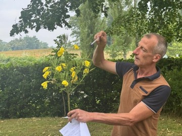 Atelier d'identification et bouquet de la Saint-Jean