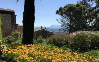 Vue de loin, vue de près au parc des Cèdres
