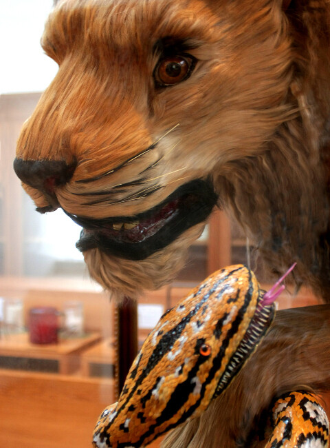 Visite flash - Le lion et le serpent