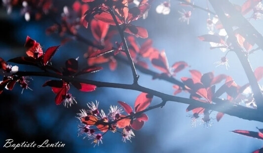 Expo : Donner à chaque petite chose toute son importance