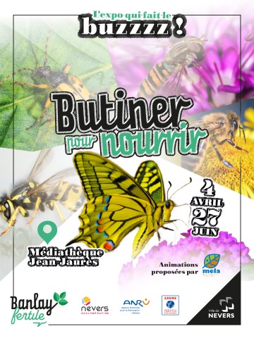 Exposition : Butiner pour nourrir, l'expo qui fait le buzzzz !