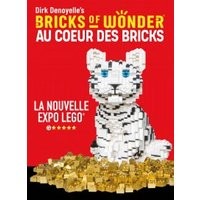 Bricks of wonder / open