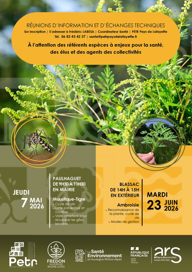 Réunions d'information