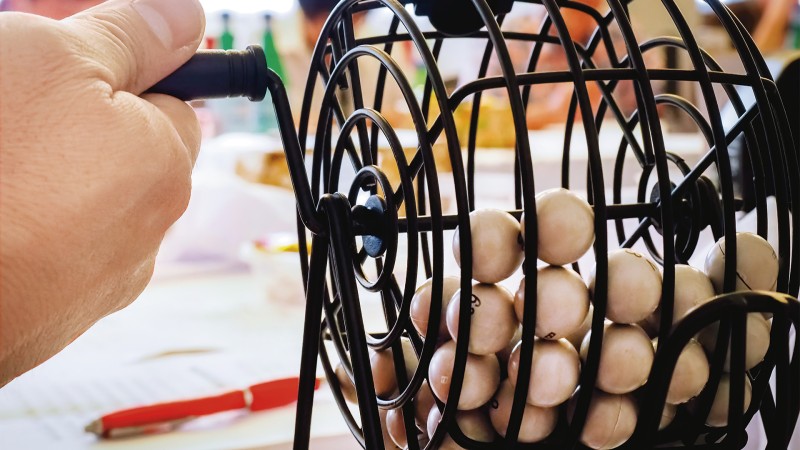 Lotos du mois de mai 2026