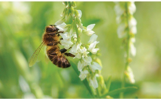 [VISITE ET ATELIER] Visite de l'exposition et atelier créatif
