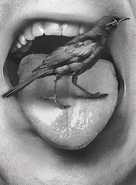 Stage Théâtre Enfants – Sylvia Etcheto de la Cie Anomo