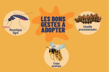 Sensibilisation aux espèces invasives et nuisibles